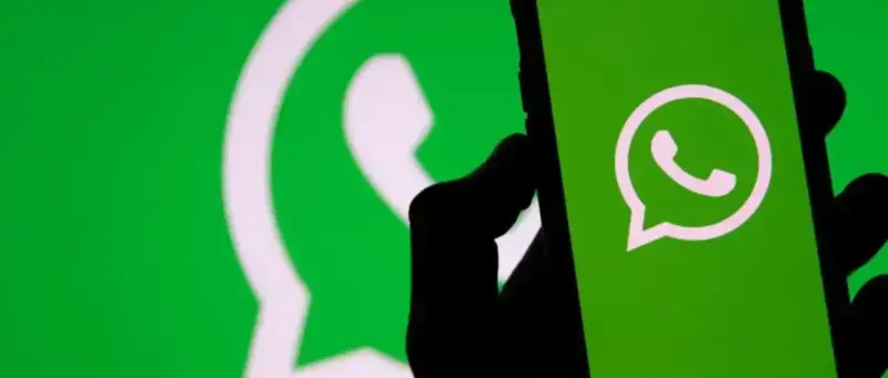 Novedades de Nombre de usuario en WhatsApp